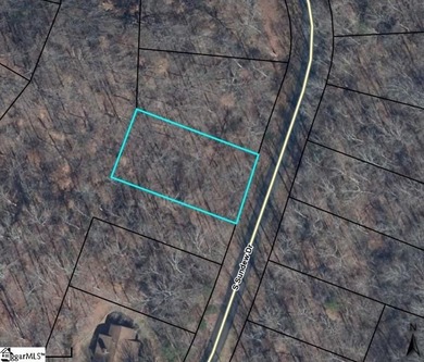 Discover the perfect blend of privacy and community living with on The Trail At Chickasaw Pointe in South Carolina - for sale on GolfHomes.com, golf home, golf lot