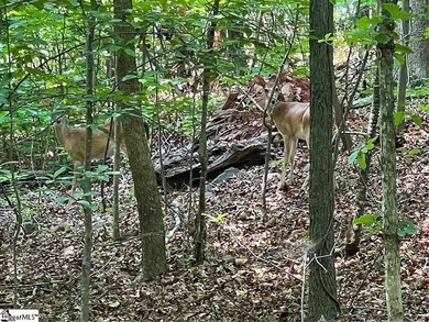 Discover the perfect blend of privacy and community living with on The Trail At Chickasaw Pointe in South Carolina - for sale on GolfHomes.com, golf home, golf lot
