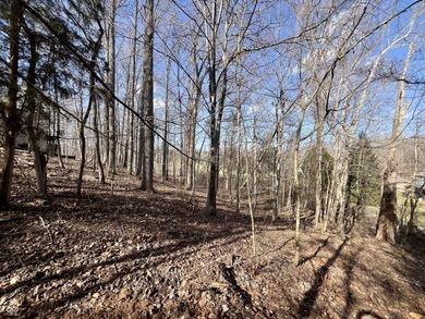 Build your dream home in the prestigious Foxcliff Estates South! on Foxcliff Golf Club in Indiana - for sale on GolfHomes.com, golf home, golf lot