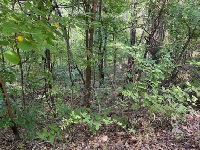 This double lot has 2.91 acres combined and would be perfect for on Holiday Island Golf Course in Arkansas - for sale on GolfHomes.com, golf home, golf lot