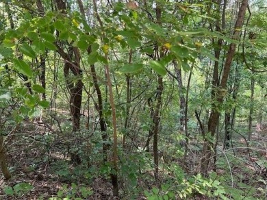 This double lot has 2.91 acres combined and would be perfect for on Holiday Island Golf Course in Arkansas - for sale on GolfHomes.com, golf home, golf lot