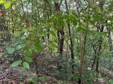This double lot has 2.91 acres combined and would be perfect for on Holiday Island Golf Course in Arkansas - for sale on GolfHomes.com, golf home, golf lot
