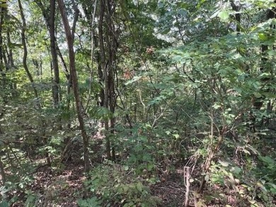 This double lot has 2.91 acres combined and would be perfect for on Holiday Island Golf Course in Arkansas - for sale on GolfHomes.com, golf home, golf lot