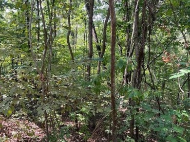 This double lot has 2.91 acres combined and would be perfect for on Holiday Island Golf Course in Arkansas - for sale on GolfHomes.com, golf home, golf lot