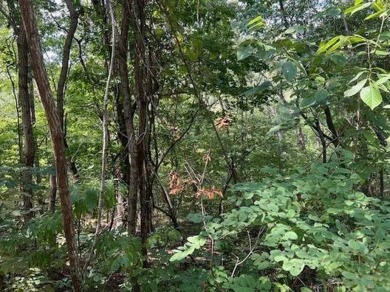 This double lot has 2.91 acres combined and would be perfect for on Holiday Island Golf Course in Arkansas - for sale on GolfHomes.com, golf home, golf lot