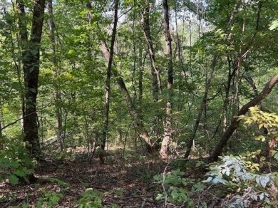 This double lot has 2.91 acres combined and would be perfect for on Holiday Island Golf Course in Arkansas - for sale on GolfHomes.com, golf home, golf lot