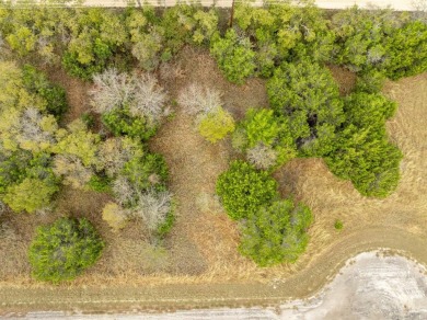 Come build your dream home on this lot located in the lively on White Bluff Resort - New Course in Texas - for sale on GolfHomes.com, golf home, golf lot