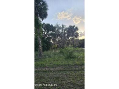 Build your dream home in the peaceful Live Oak Golf & Country on The Oaks Golf Club in Florida - for sale on GolfHomes.com, golf home, golf lot