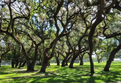 Florida Living at its finest! Enjoy living in one of the Tampa on Betmar Acres Golf Club in Florida - for sale on GolfHomes.com, golf home, golf lot
