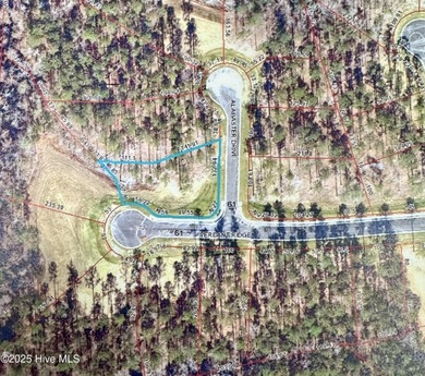 Corner lot ready for your new home!! No time frame to build! on Carolina Colours Golf Club in North Carolina - for sale on GolfHomes.com, golf home, golf lot