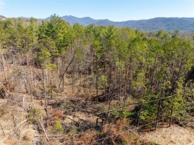 Imagine the endless opportunities awaiting you with this on Reems Creek Golf Club in North Carolina - for sale on GolfHomes.com, golf home, golf lot
