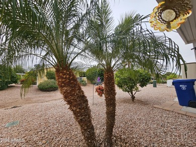 Discover Your Outdoor Oasis! This beautiful 3-bedroom on Viewpoint Golf Resort in Arizona - for sale on GolfHomes.com, golf home, golf lot