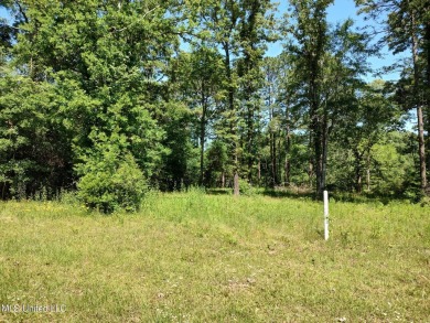 Beautiful lot in Lake Hillsdale offering access to main lake on The Kings Arrow Ranch in Mississippi - for sale on GolfHomes.com, golf home, golf lot