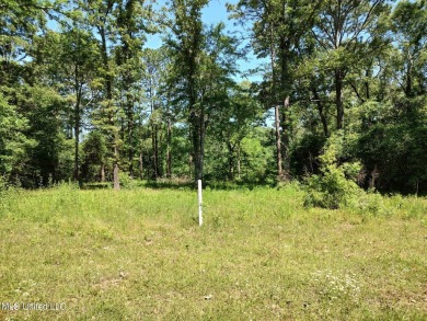 Beautiful lot in Lake Hillsdale offering access to main lake on The Kings Arrow Ranch in Mississippi - for sale on GolfHomes.com, golf home, golf lot