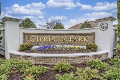 Cipriana Park development at Grande Dunes is a wonderful on The Dunes Golf and Beach Club in South Carolina - for sale on GolfHomes.com, golf home, golf lot