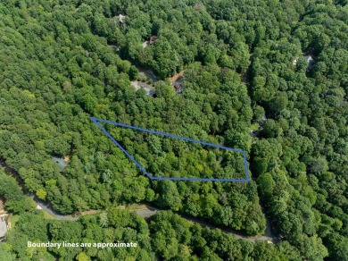 Tucked away on 0.97 acres in the desirable Buckhorn Estates on White Path Golf Club in Georgia - for sale on GolfHomes.com, golf home, golf lot