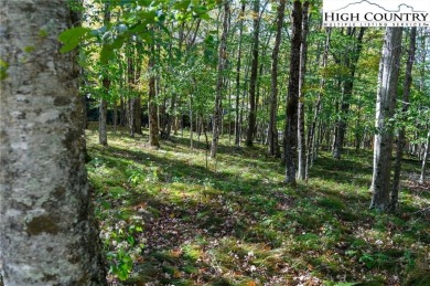 This is a beautiful home site with long range incredible VIEW on Beech Mountain Club in North Carolina - for sale on GolfHomes.com, golf home, golf lot
