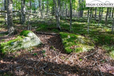 This is a beautiful home site with long range incredible VIEW on Beech Mountain Club in North Carolina - for sale on GolfHomes.com, golf home, golf lot