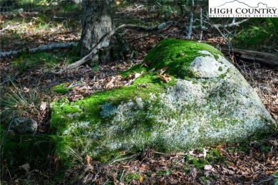 This is a beautiful home site with long range incredible VIEW on Beech Mountain Club in North Carolina - for sale on GolfHomes.com, golf home, golf lot
