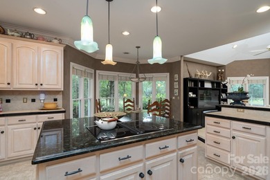 Nestled on the 6th green of The Old North State Club, 117 on Old North State Club at Uwharrie Point Golf community in North Carolina - for sale on GolfHomes.com, golf home, golf lot