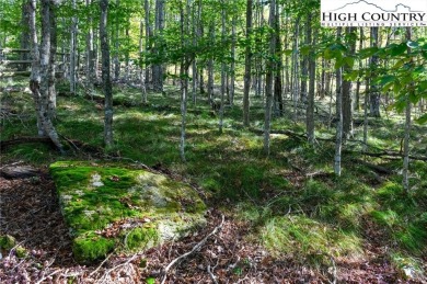 This is a beautiful home site with long range incredible VIEW on Beech Mountain Club in North Carolina - for sale on GolfHomes.com, golf home, golf lot