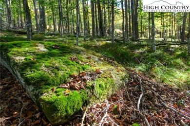 This is a beautiful home site with long range incredible VIEW on Beech Mountain Club in North Carolina - for sale on GolfHomes.com, golf home, golf lot