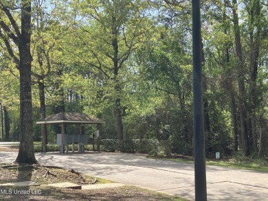 Patio Home in Diamondhead offering many amenities, all shopping on Diamondhead Country Club in Mississippi - for sale on GolfHomes.com, golf home, golf lot