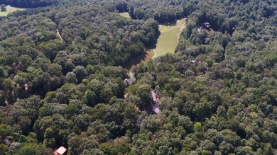 For the Discerning Golfer, your Mountain Home Awaits! Just Like on White Path Golf Club in Georgia - for sale on GolfHomes.com, golf home, golf lot