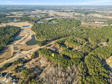 Not all new construction feels the same-and this one proves it on River Landing Golf Course in North Carolina - for sale on GolfHomes.com, golf home, golf lot