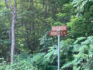 2.95 acre lot in Riverbend Highlands, Lake Lure, Rutherford on Rumbling Bald Resort on Lake Lure in North Carolina - for sale on GolfHomes.com, golf home, golf lot