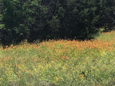 White Bluff is the place to be.   This is a great lot across on White Bluff Resort - New Course in Texas - for sale on GolfHomes.com, golf home, golf lot