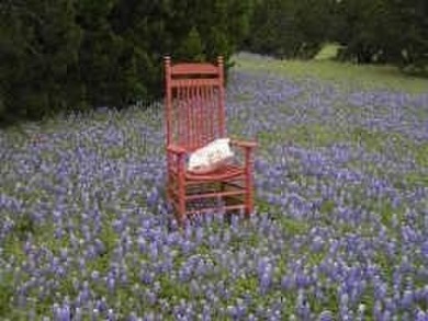 White Bluff is the place to be.   This is a great lot across on White Bluff Resort - New Course in Texas - for sale on GolfHomes.com, golf home, golf lot