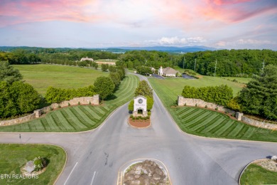 LAKEFRONT and DOCKABLE! One of the LAST remaining Lakefront and on Rarity Bay Country Club - Loudon in Tennessee - for sale on GolfHomes.com, golf home, golf lot