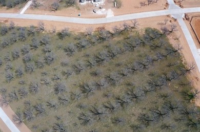 Build your dream home on this stunning pecan tree adorned on Nutcracker Golf Club in Texas - for sale on GolfHomes.com, golf home, golf lot