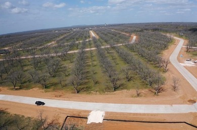Build your dream home on this stunning pecan tree adorned on Nutcracker Golf Club in Texas - for sale on GolfHomes.com, golf home, golf lot