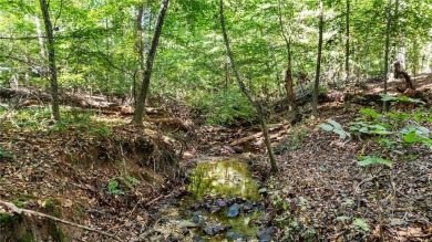 Located in the sought-after Pine Ridge Country Club Estates on Collins Hill Golf Club in Georgia - for sale on GolfHomes.com, golf home, golf lot