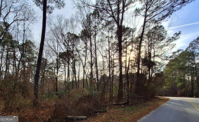 Enjoy the lake life and build your dream home in Turtle Cove on Turtle Cove Golf Course in Georgia - for sale on GolfHomes.com, golf home, golf lot