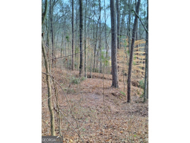 Enjoy the lake life and build your dream home in Turtle Cove on Turtle Cove Golf Course in Georgia - for sale on GolfHomes.com, golf home, golf lot