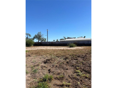 Build your dream home at Los Vecinos Subdivision. This spacious on Palm View Golf Course in Texas - for sale on GolfHomes.com, golf home, golf lot