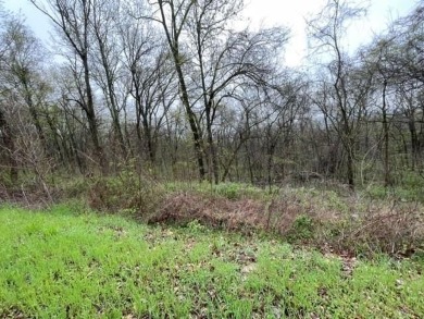 Beautiful 2 lots for the price of 1, with lots of potential! on Holiday Island Executive Golf Course in Arkansas - for sale on GolfHomes.com, golf home, golf lot