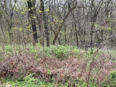 Beautiful 2 lots for the price of 1, with lots of potential! on Holiday Island Executive Golf Course in Arkansas - for sale on GolfHomes.com, golf home, golf lot