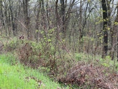 Beautiful 2 lots for the price of 1, with lots of potential! on Holiday Island Executive Golf Course in Arkansas - for sale on GolfHomes.com, golf home, golf lot