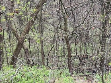 Beautiful 2 lots for the price of 1, with lots of potential! on Holiday Island Executive Golf Course in Arkansas - for sale on GolfHomes.com, golf home, golf lot