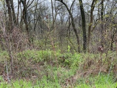 Beautiful 2 lots for the price of 1, with lots of potential! on Holiday Island Executive Golf Course in Arkansas - for sale on GolfHomes.com, golf home, golf lot