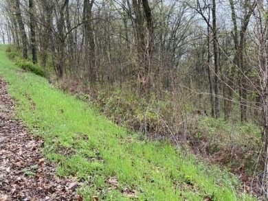 Beautiful 2 lots for the price of 1, with lots of potential! on Holiday Island Executive Golf Course in Arkansas - for sale on GolfHomes.com, golf home, golf lot