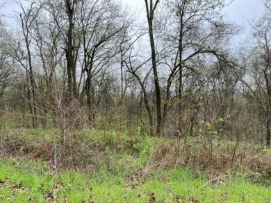 Beautiful 2 lots for the price of 1, with lots of potential! on Holiday Island Executive Golf Course in Arkansas - for sale on GolfHomes.com, golf home, golf lot