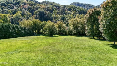 Build Your Dream Home in The Cedars

Discover the perfect on  in Tennessee - for sale on GolfHomes.com, golf home, golf lot