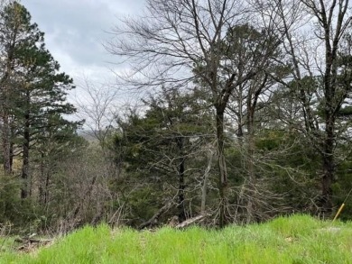 Beautiful lot with lots of potential! Plenty of wildlife for a on Holiday Island Golf Course in Arkansas - for sale on GolfHomes.com, golf home, golf lot