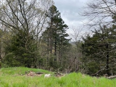 Beautiful lot with lots of potential! Plenty of wildlife for a on Holiday Island Golf Course in Arkansas - for sale on GolfHomes.com, golf home, golf lot