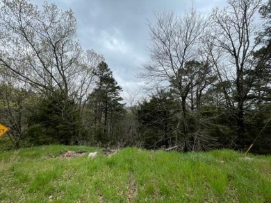 Beautiful lot with lots of potential! Plenty of wildlife for a on Holiday Island Golf Course in Arkansas - for sale on GolfHomes.com, golf home, golf lot